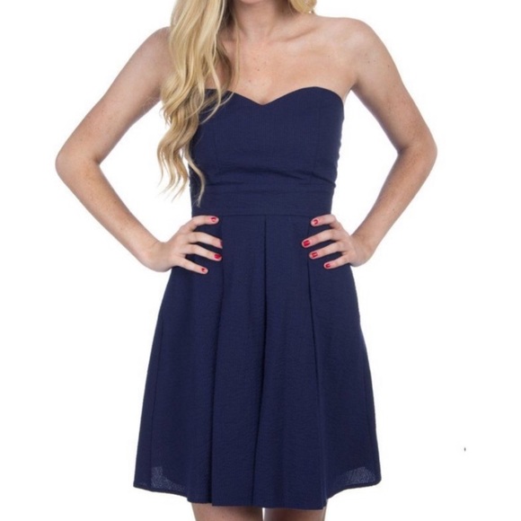 Lauren James Dresses & Skirts - Lauren James Navy Blue Corbin Dress Large New